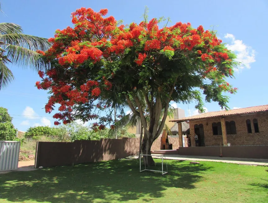 Foto 1 de Casa com 4 Quartos à venda, 1100m² em Conde, Conde