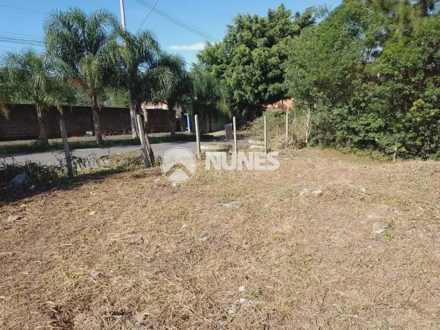 Foto 1 de Lote/Terreno à venda, 253m² em Paisagem Casa Grande, Cotia