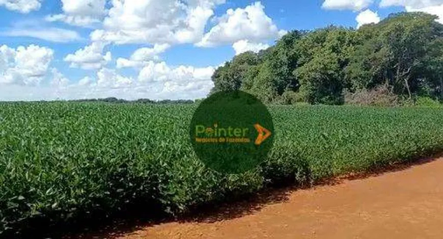 Foto 1 de Fazenda/Sítio à venda, 257000m² em Zona Rural, Arenópolis