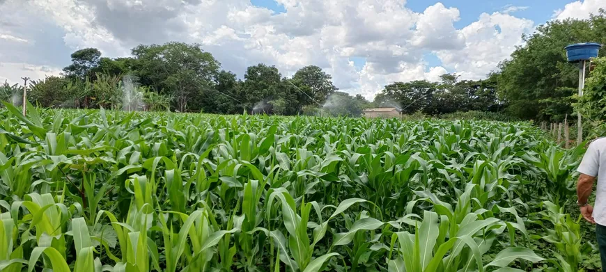 Foto 1 de Fazenda/Sítio com 3 Quartos à venda, 100000m² em Corrego Rico, Planaltina