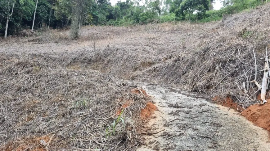 Foto 1 de Fazenda/Sítio à venda em Centro, Marechal Floriano