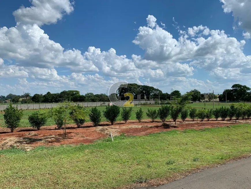 Foto 1 de Lote/Terreno à venda, 502m² em , Cesário Lange