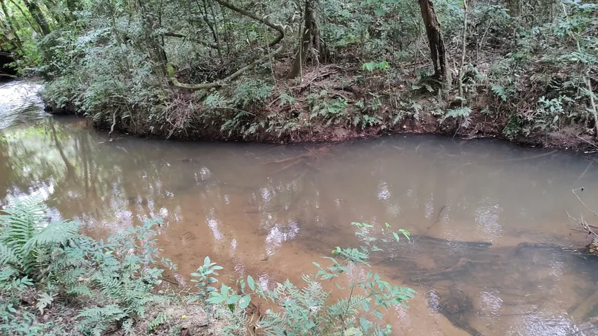 Foto 1 de Fazenda/Sítio à venda, 70000m² em Area Rural de Sao Jose dos Pinhais, São José dos Pinhais