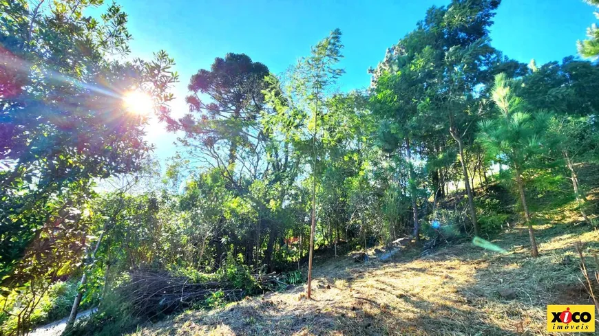 Foto 1 de Lote/Terreno à venda, 509m² em Linha Olinda, Nova Petrópolis