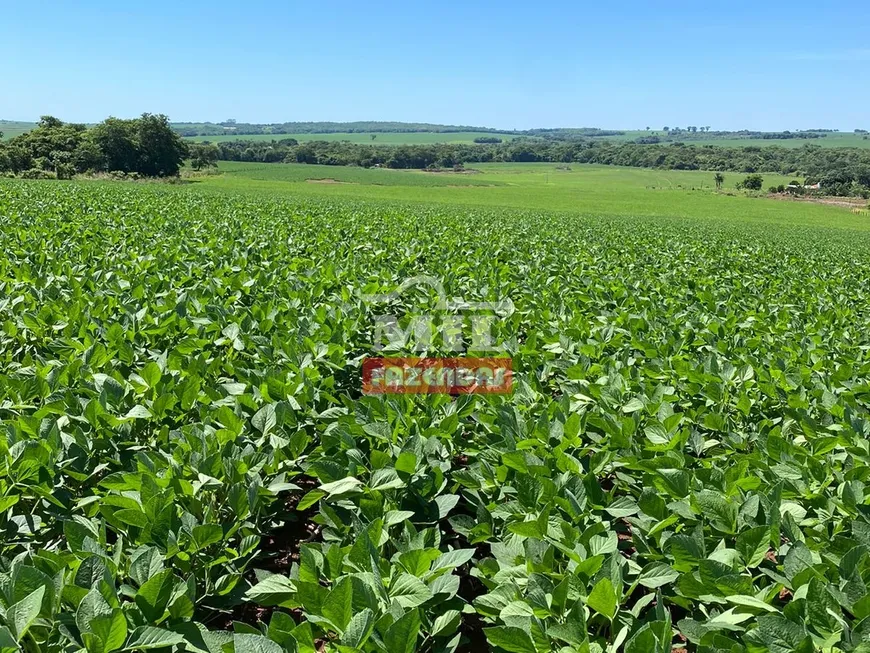 Foto 1 de Fazenda/Sítio à venda em Zona Rural, Santo Antônio da Barra