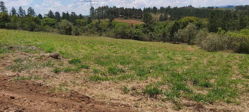 Foto 1 de Lote/Terreno à venda em Maracanã, Jarinu