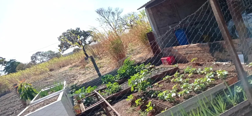 Foto 1 de Fazenda/Sítio com 5 Quartos à venda, 21000m² em Jardim Bela Vista, Águas Lindas de Goiás