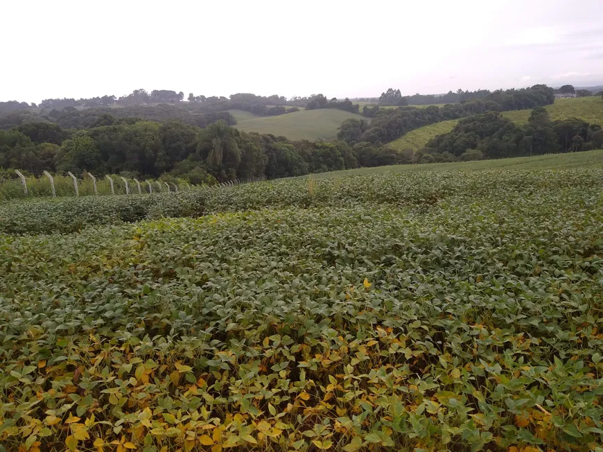 Foto 1 de Fazenda/Sítio com 1 Quarto à venda, 20000m² em Colonia Marcelino, São José dos Pinhais