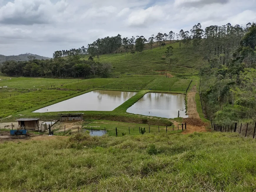 Foto 1 de Fazenda/Sítio com 2 Quartos à venda, 105000m² em Santa Cruz, São João do Itaperiú