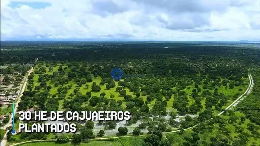 Foto 1 de Fazenda/Sítio à venda, 2000000m² em Patos dos Liberatos, Chorozinho