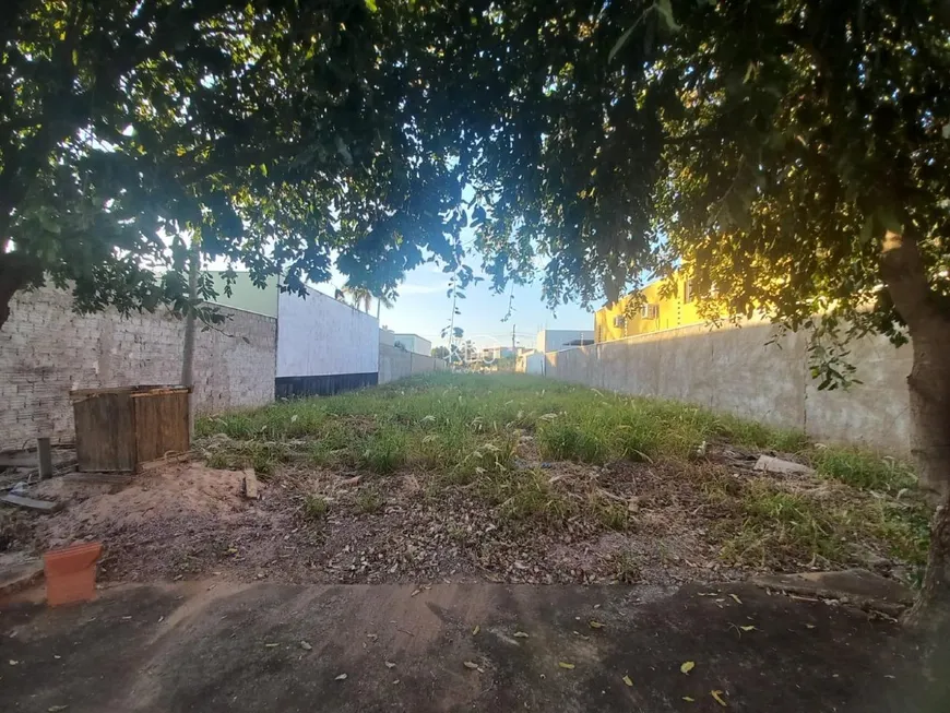 Foto 1 de Lote/Terreno para alugar, 300m² em Jardim Residencial Sunflower, Rondonópolis