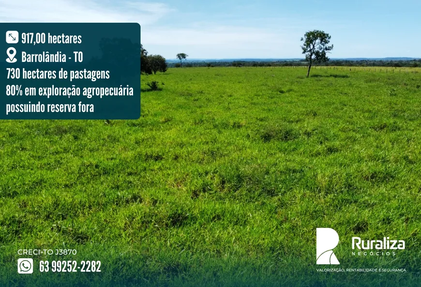 Foto 1 de Fazenda/Sítio à venda, 917m² em Zona Rural, Barrolândia