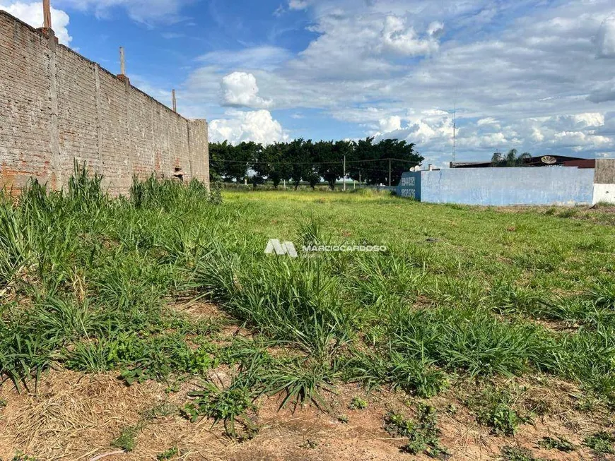 Foto 1 de Lote/Terreno à venda, 1000m² em Loteamento Parque dos Passaros, São José do Rio Preto