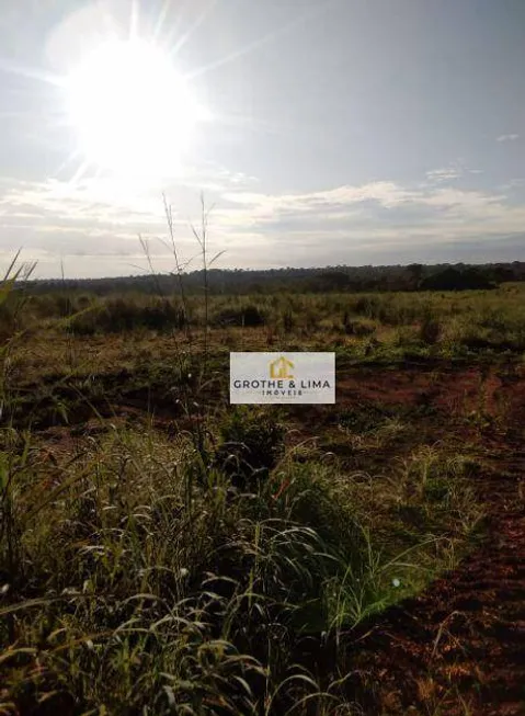 Foto 1 de Fazenda/Sítio com 6 Quartos à venda, 500m² em Dom Orione, Araguaína