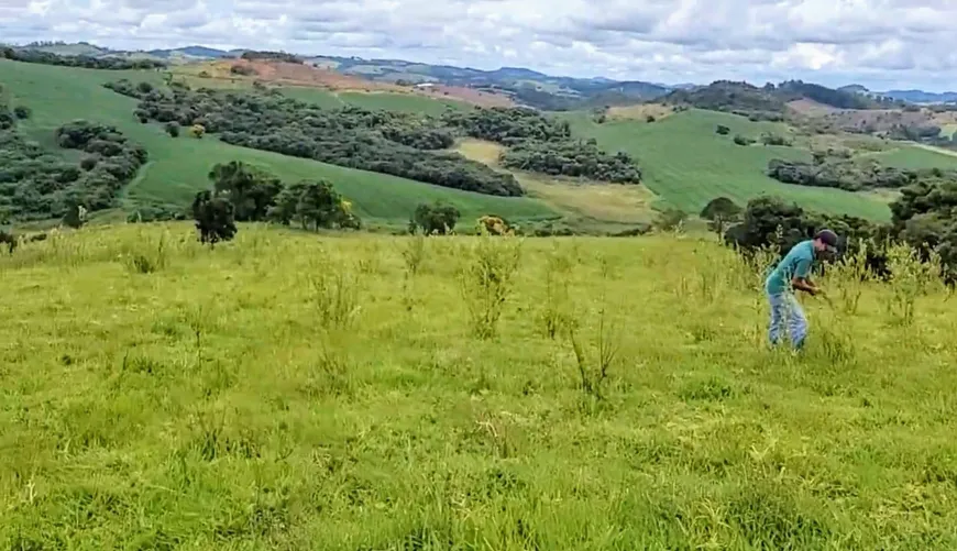 Foto 1 de Lote/Terreno à venda, 190000m² em Zona Rural, Senador Amaral