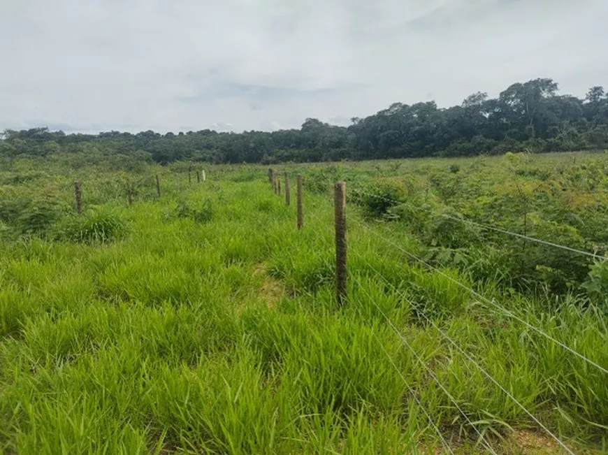 Foto 1 de Fazenda/Sítio com 2 Quartos à venda, 100000m² em Area Rural de Patos de Minas, Patos de Minas