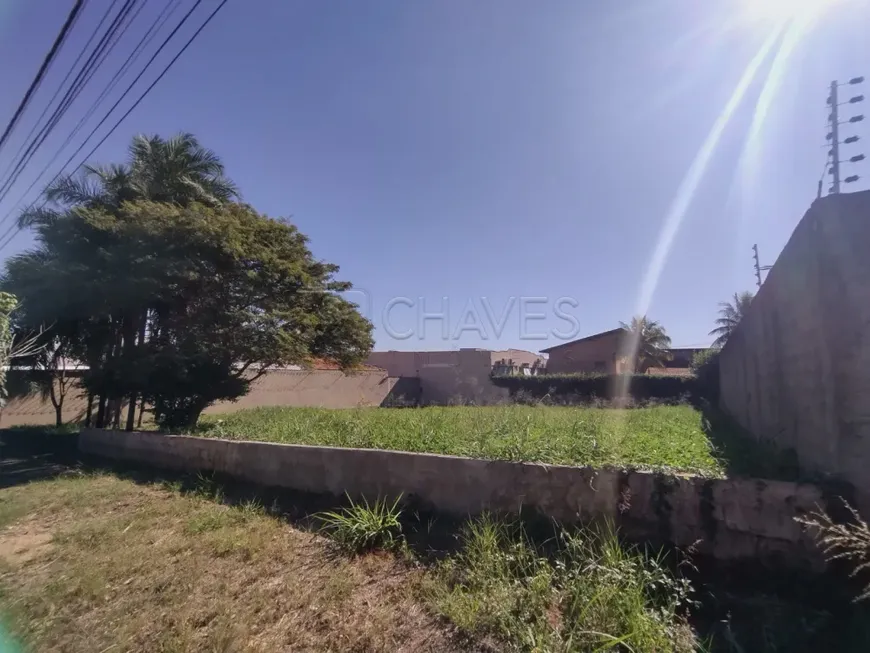 Foto 1 de Lote/Terreno para alugar, 371m² em Alto da Boa Vista, Ribeirão Preto