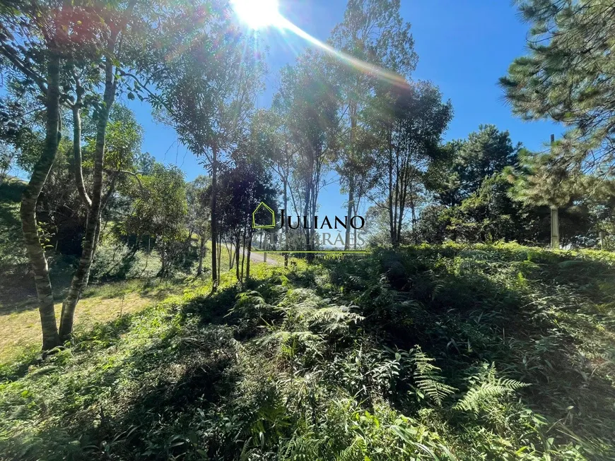 Foto 1 de Lote/Terreno à venda, 2628m² em , Rancho Queimado