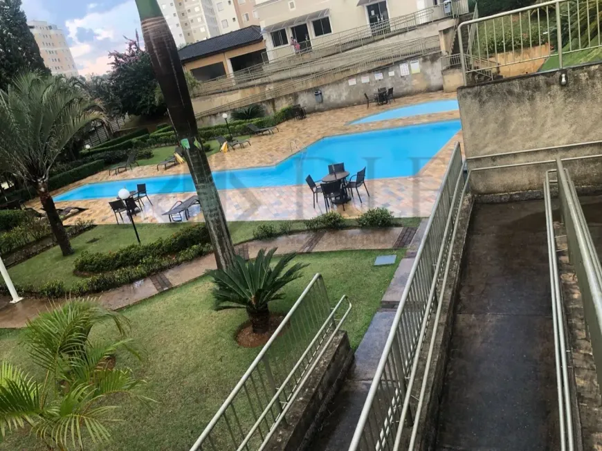 Foto 1 de Apartamento com 2 Quartos para alugar, 45m² em Jardim Nova Europa, Campinas