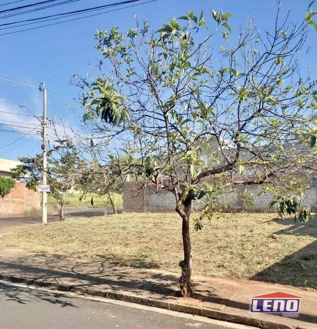 Foto 1 de Lote/Terreno à venda, 260m² em Parque Residencial J Macedo, São José do Rio Preto