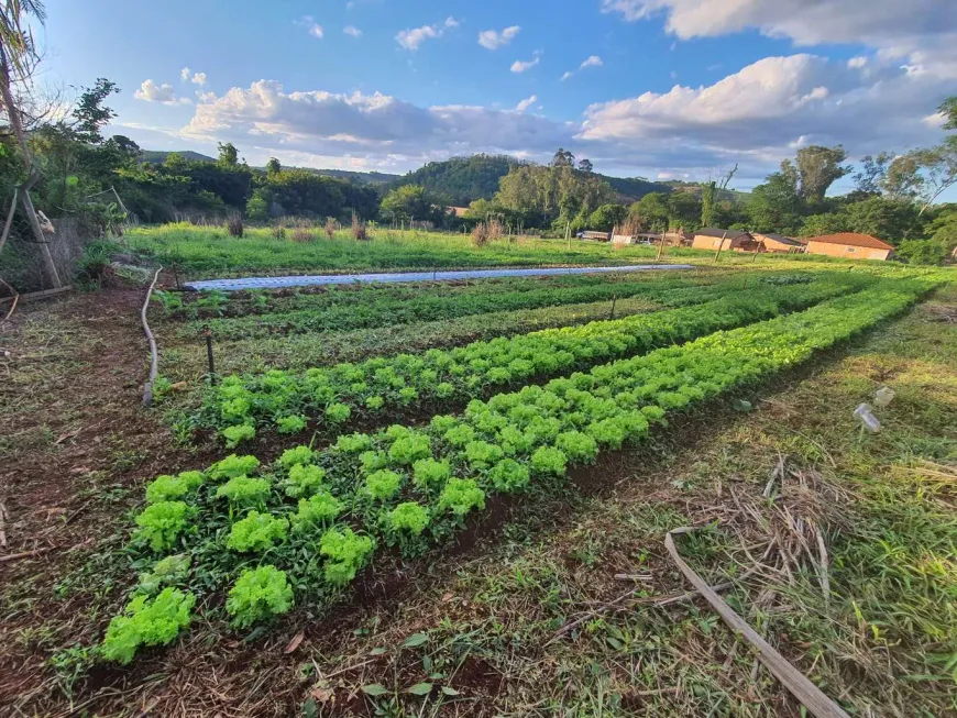 Foto 1 de Fazenda/Sítio com 1 Quarto à venda, 3040m² em Selva, Londrina