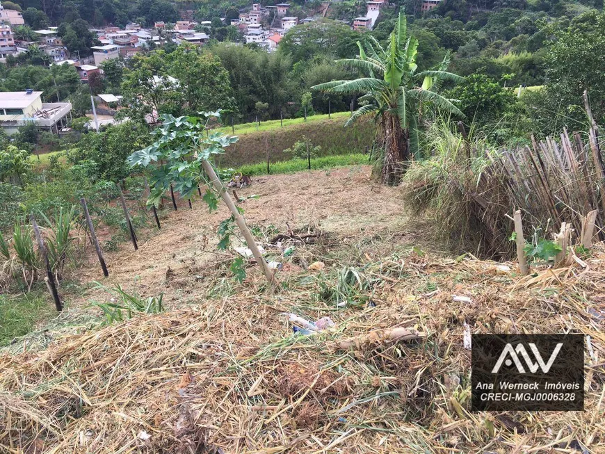 Foto 1 de Lote/Terreno à venda, 240m² em Terras Altas, Juiz de Fora