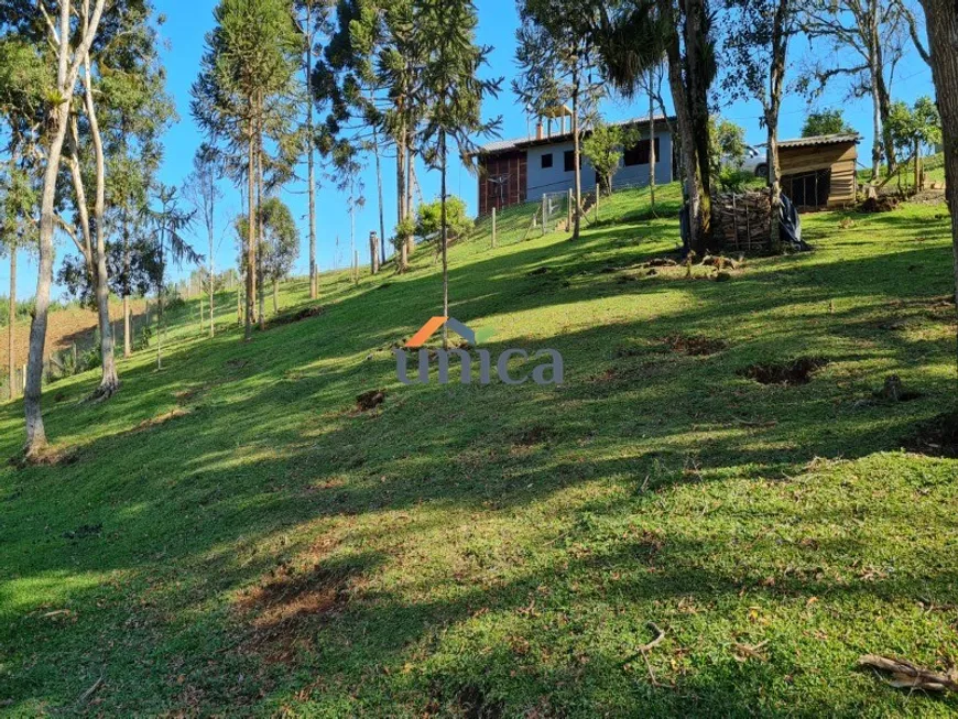 Foto 1 de Fazenda/Sítio com 3 Quartos à venda, 32000m² em , Campo Alegre