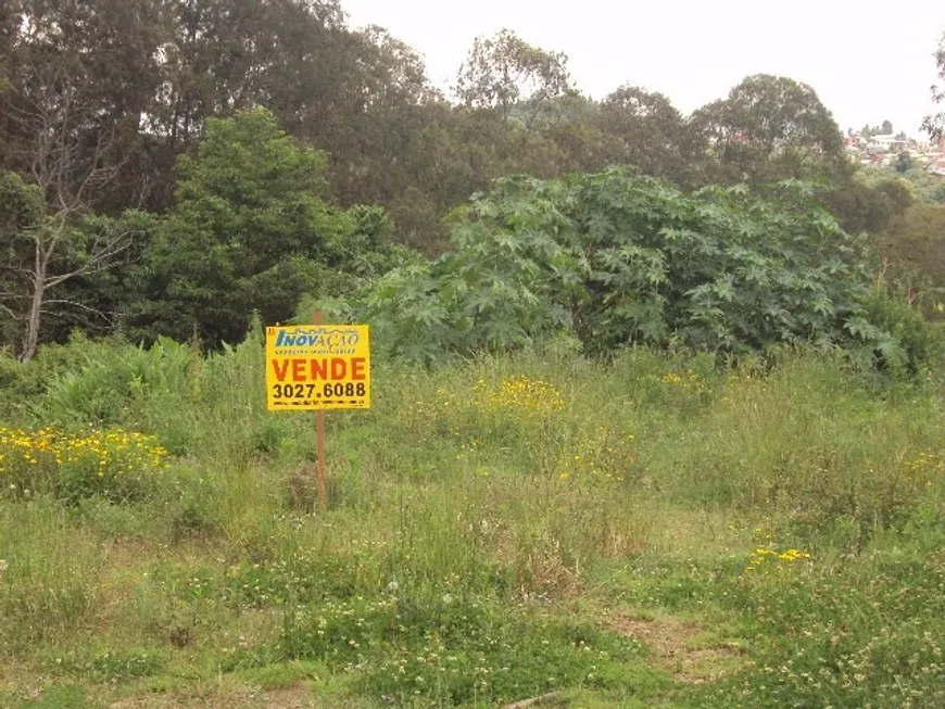 Foto 1 de Lote/Terreno à venda em São Victor Cohab, Caxias do Sul