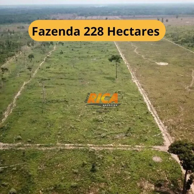 Foto 1 de Fazenda/Sítio à venda, 2280000m² em , Candeias do Jamari