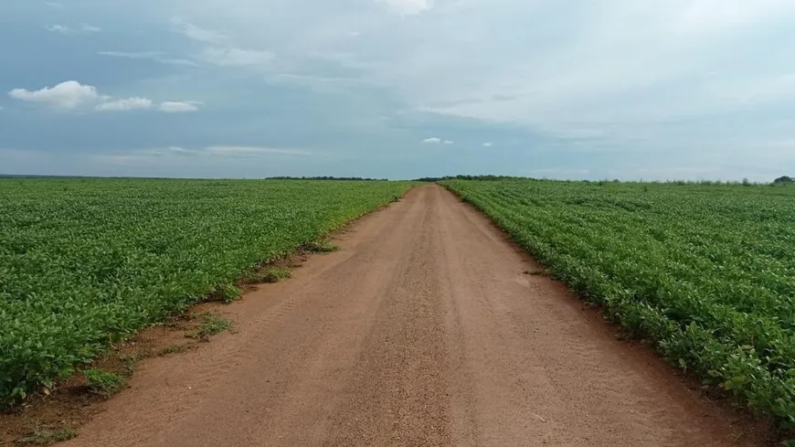 Foto 1 de Fazenda/Sítio com 7 Quartos à venda, 228m² em , Brejinho de Nazaré