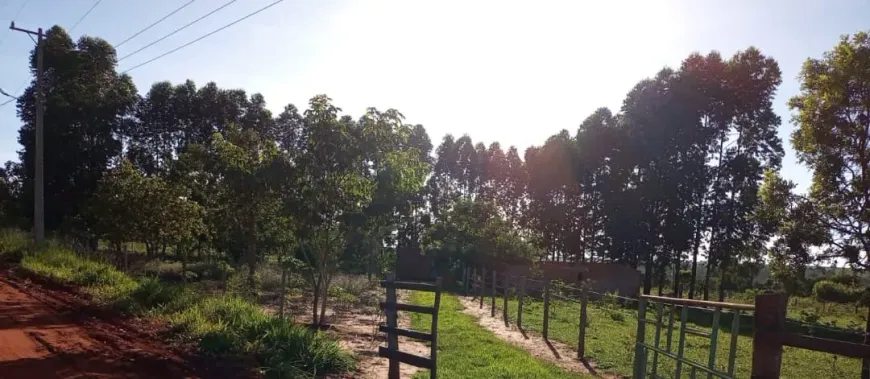 Foto 1 de Fazenda/Sítio à venda, 55000m² em Zona Rural, Campo Grande