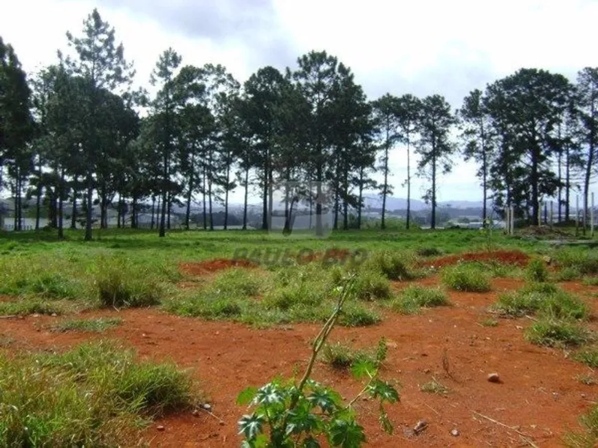 Foto 1 de Lote/Terreno à venda em Jardim São Paulo, Itaquaquecetuba