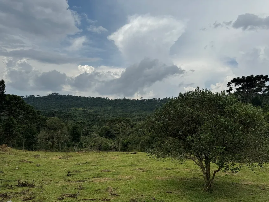 Foto 1 de Fazenda/Sítio à venda, 20000m² em , Urubici