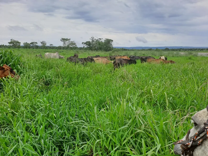 Foto 1 de Fazenda/Sítio à venda, 3020000m² em Zona Rural, Riachinho