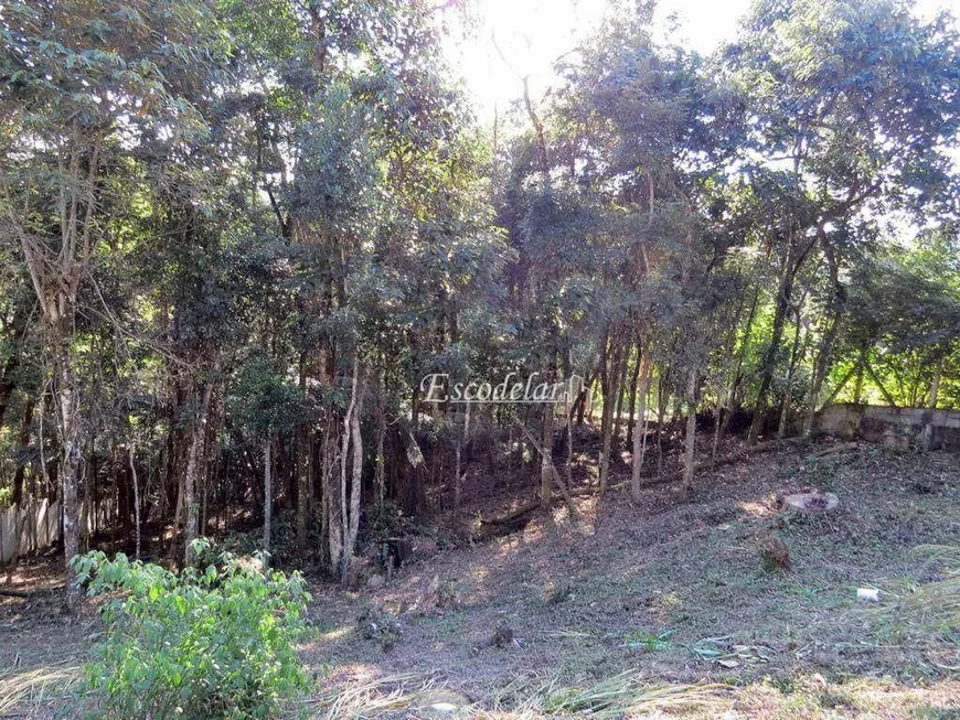 Foto 1 de Lote/Terreno à venda, 1250m² em Pirucaia, Mairiporã