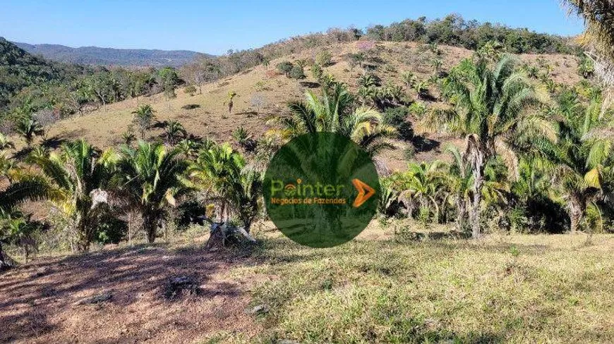 Foto 1 de Fazenda/Sítio com 2 Quartos à venda, 6050000m² em Zona Rural, Planaltina