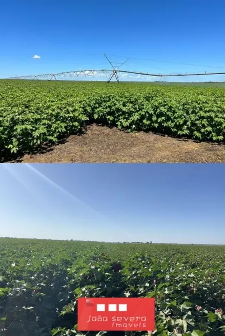 Foto 1 de Fazenda/Sítio à venda, 1198m² em , Bom Jesus da Lapa