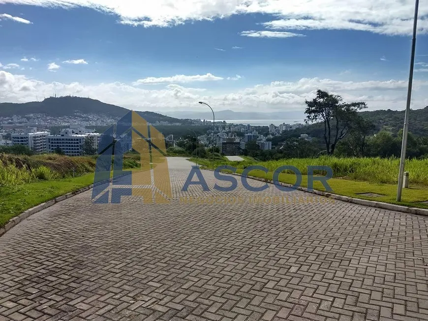 Foto 1 de Lote/Terreno à venda, 480m² em Itacorubi, Florianópolis