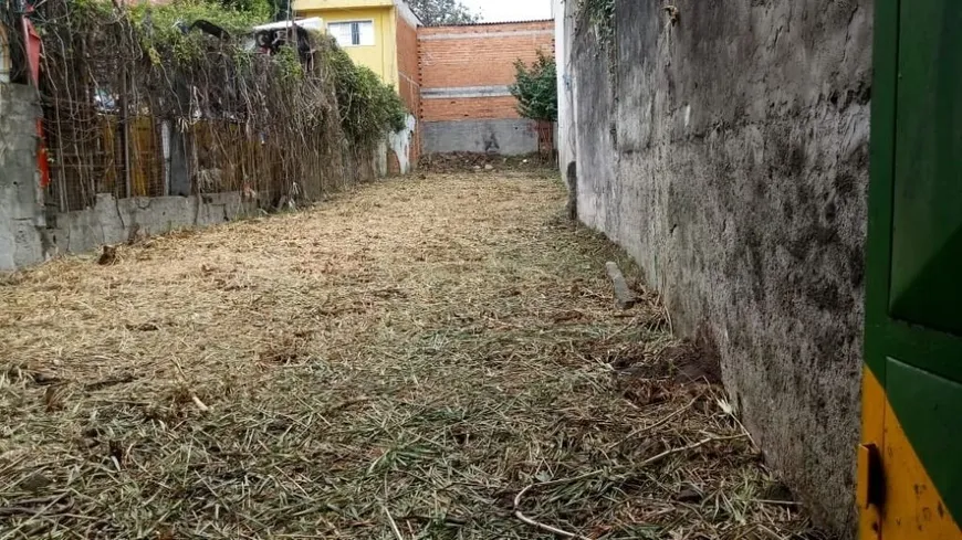 Foto 1 de Lote/Terreno para alugar, 143m² em Vila Matilde, São Paulo