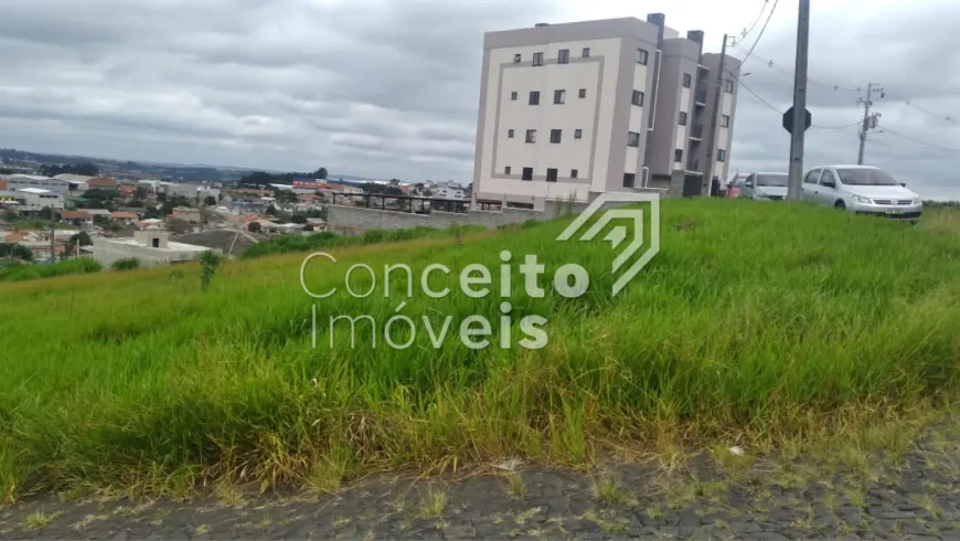 Foto 1 de Lote/Terreno à venda, 363m² em Chapada, Ponta Grossa