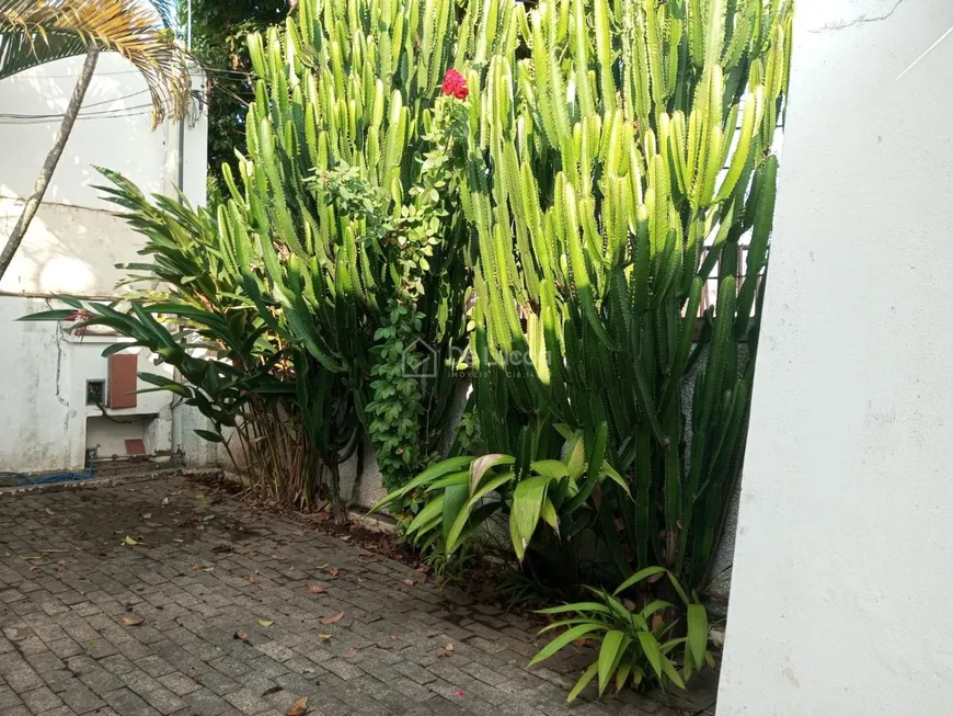 Foto 1 de Casa com 4 Quartos para venda ou aluguel, 260m² em Jardim das Paineiras, Campinas