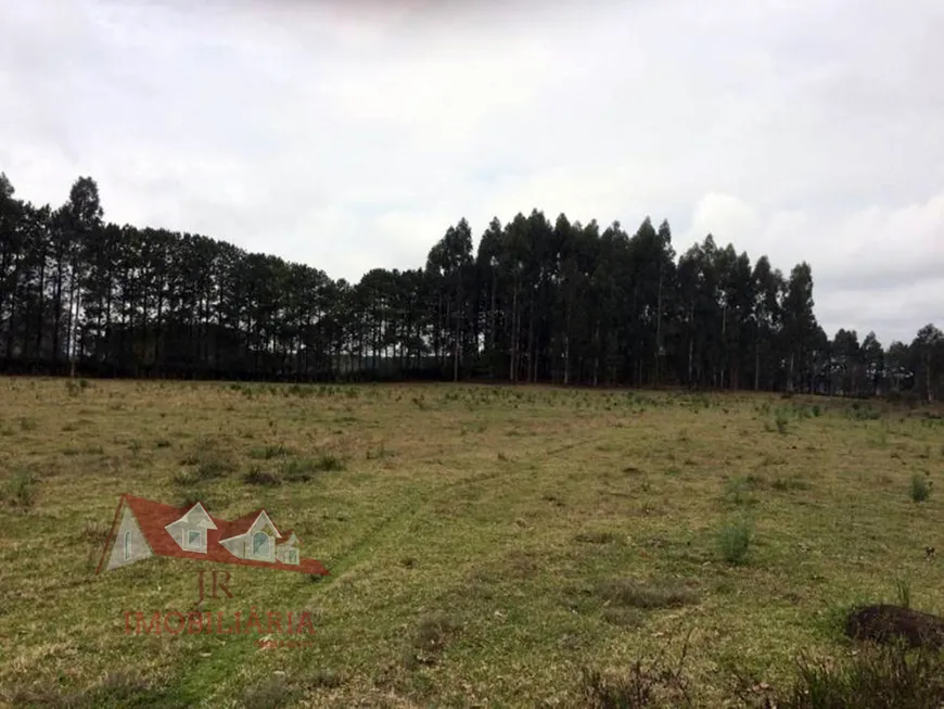 Foto 1 de Fazenda/Sítio com 1 Quarto à venda, 73610m² em Campo Largo da Roseira, São José dos Pinhais