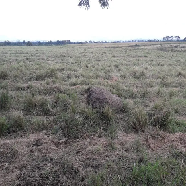 Foto 1 de Fazenda/Sítio à venda em Vila Paulista, Taubaté