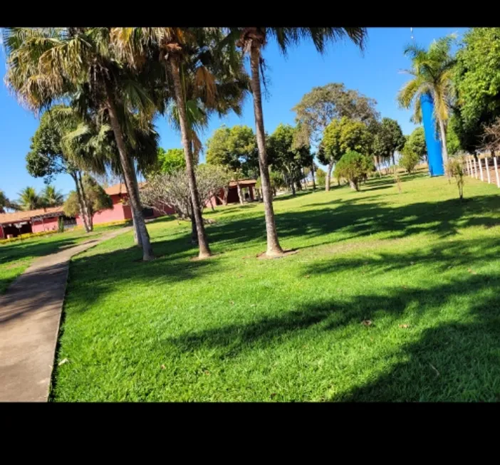 Foto 1 de Fazenda/Sítio à venda em Bezerra, Formosa