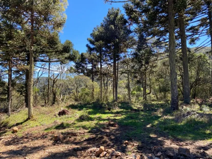 Foto 1 de Lote/Terreno à venda em Zona Rural, Urubici