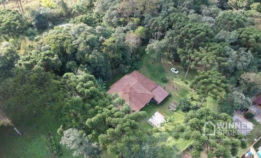 Foto 1 de Fazenda/Sítio com 3 Quartos à venda, 8000m² em Jardim Serrinha, Balsa Nova