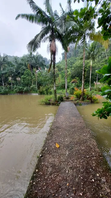 Foto 1 de Fazenda/Sítio com 4 Quartos à venda, 304m² em São Pedro, Guabiruba