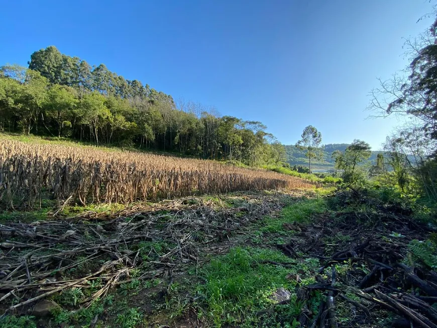 Foto 1 de Fazenda/Sítio com 2 Quartos à venda, 29154m² em , Boa Vista do Sul