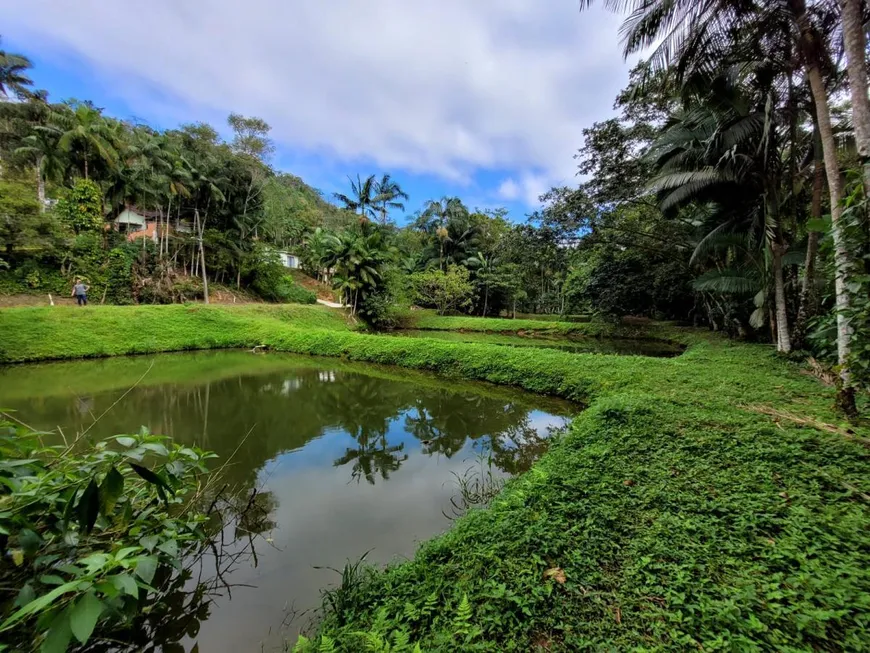 Foto 1 de Fazenda/Sítio à venda, 47696m² em Amizade, Guaramirim