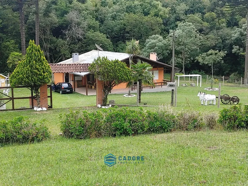 Foto 1 de Fazenda/Sítio com 4 Quartos à venda, 31000m² em Vila Seca, Caxias do Sul